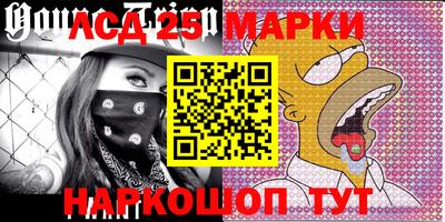 Альфа ПВП Гатчина