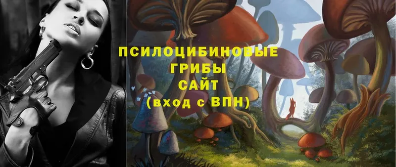 Псилоцибиновые грибы MAGIC MUSHROOMS  купить закладку  нарко площадка Telegram  Видное 