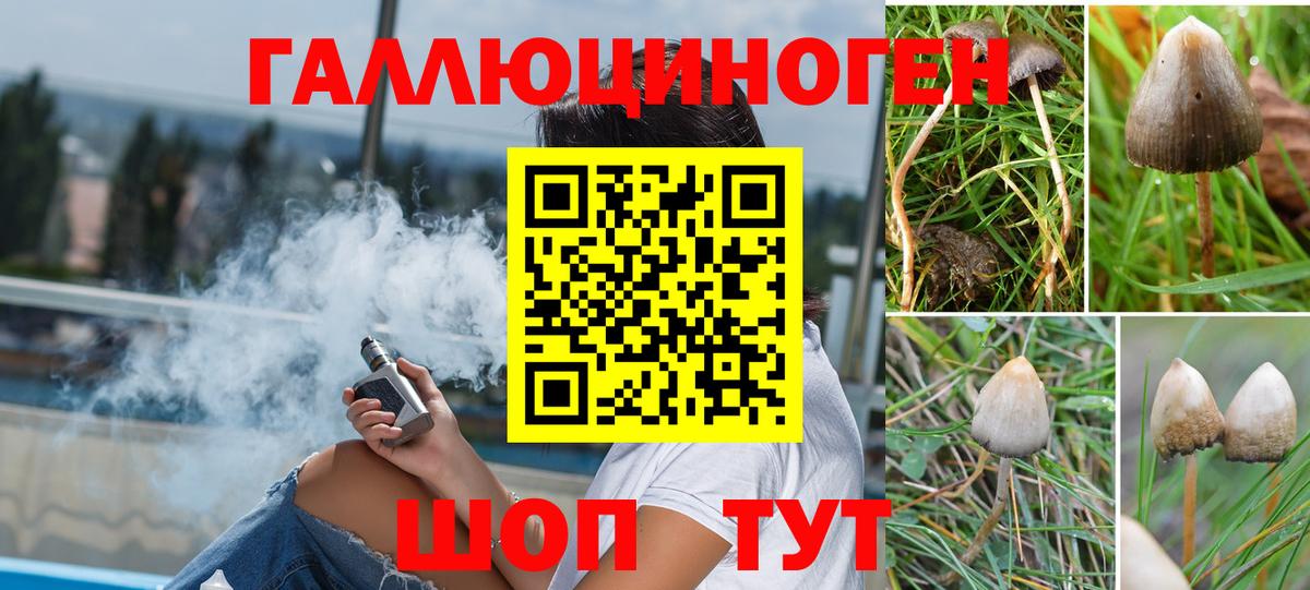 Галлюциногенные грибы ЛСД  Видное 