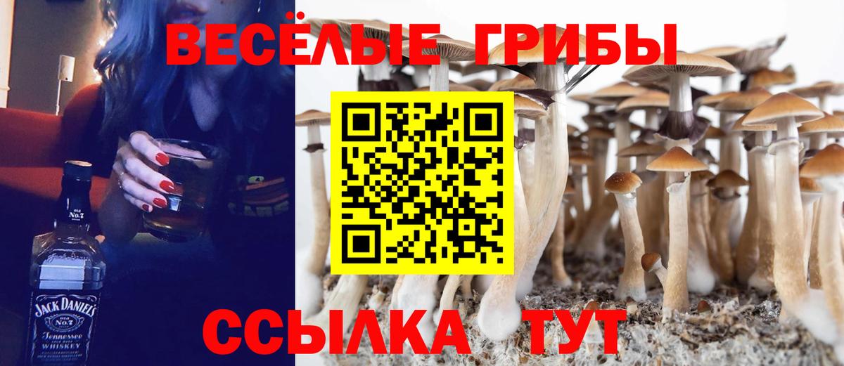 Псилоцибиновые грибы Magic Shrooms Видное