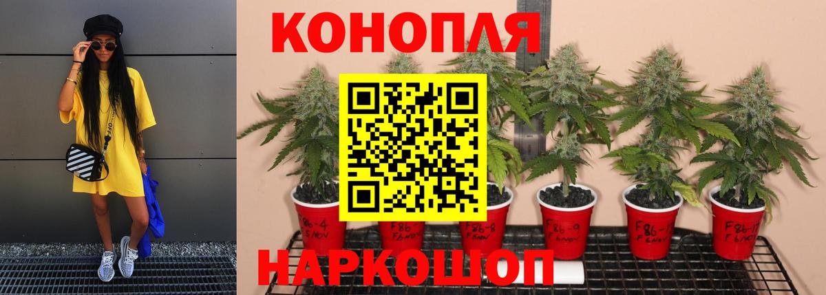 Канабис Bruce Banner Видное